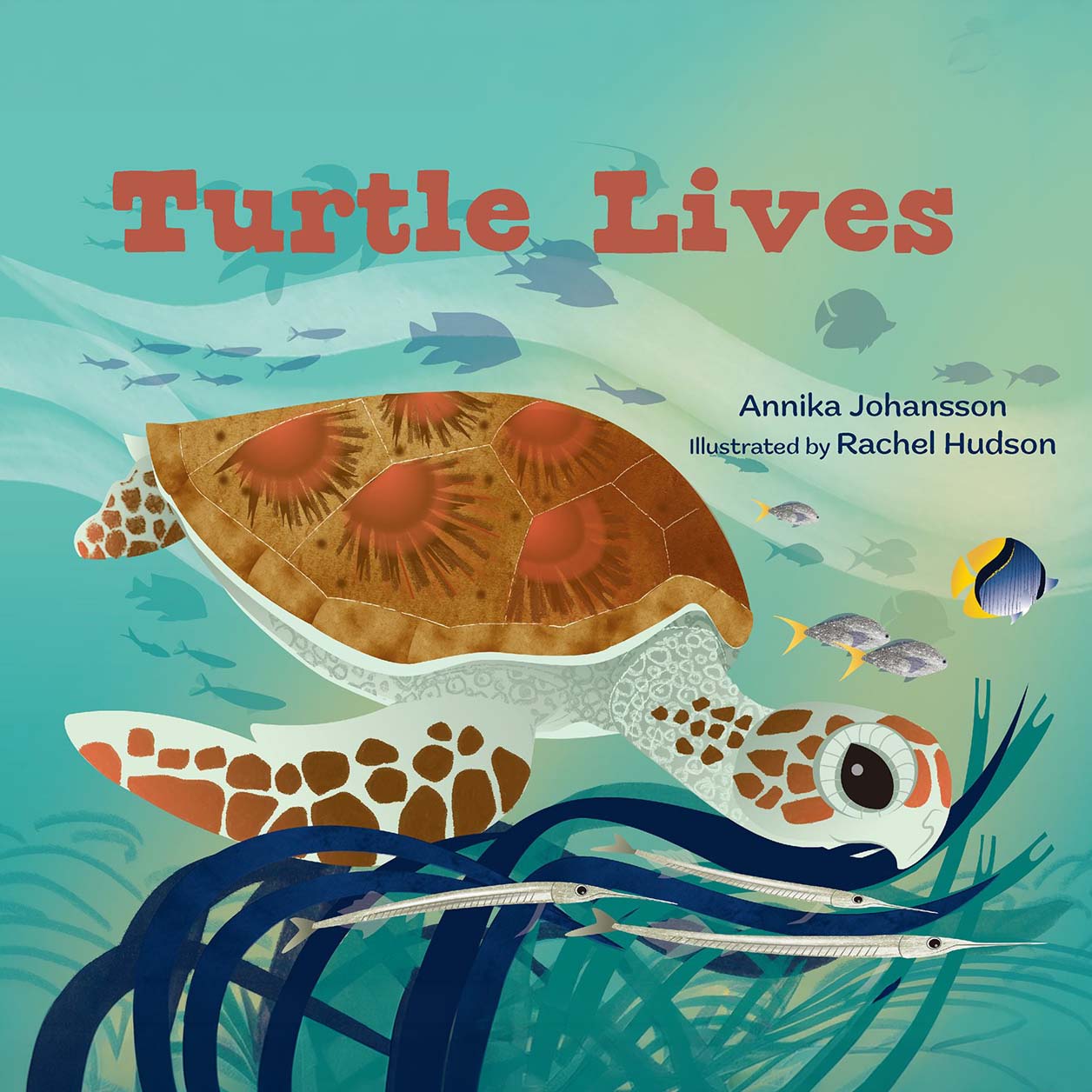 Turtle Lives